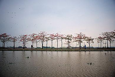 《消逝的光芒2》MOD让游戏支持AMD FSR 2.0